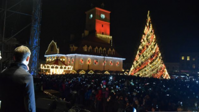 aprinderea bradului dec 148_200119.JPG