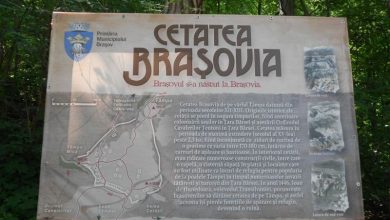 cetateabrasovia.jpg