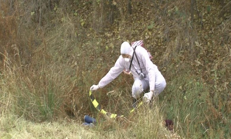 S-au dus după ciuperci şi au găsit un SCHELET uman 1 criminalisticamp2.jpg