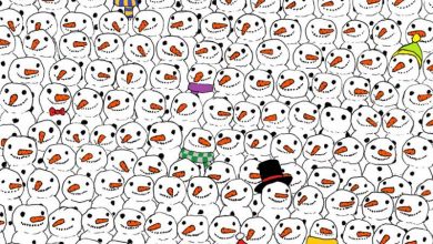 find-panda-illustrated-puzzle-dudolf-1.jpg
