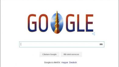 googledoodleziuanationala.jpg
