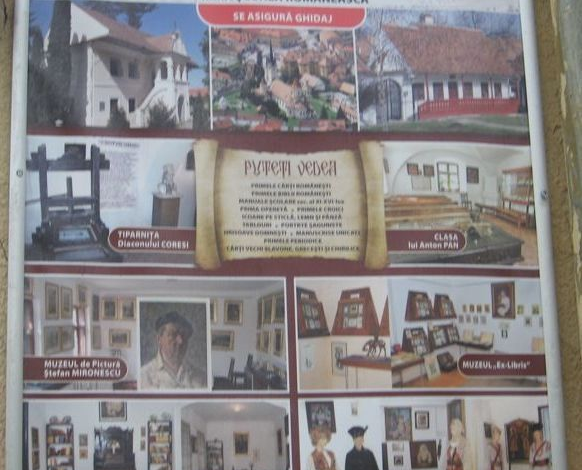 BRAŞOV. Cum îşi pot sărbători ziua persoanele cu dizabilităţi 1 img-4321_2.jpg