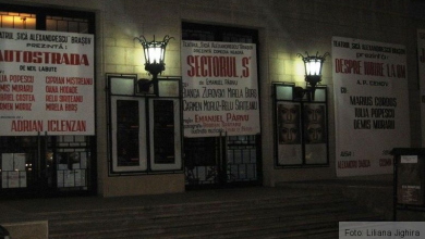 BRAŞOV. Doar trei reprezentaţii la teatru 10 img-4548.jpg