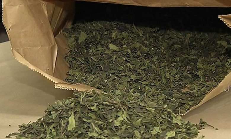 khat.jpg