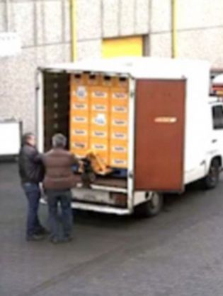 lazi1_200160.jpg