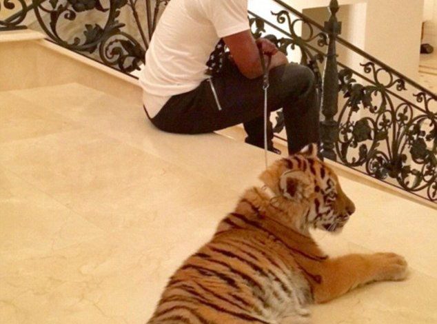 mayweather_3.jpg