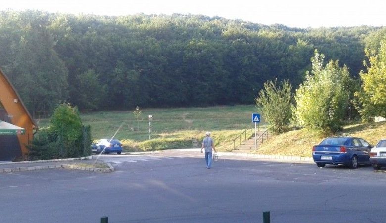 BRAŞOV. „Spune NU Ansamblului Rezidenţial din Strada Jepilor!” 1 padurejepilor.jpg