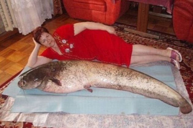 Fotografii hilare cu ruşi, de pe site-urile de matrimoniale 1 rus8_200280.jpg