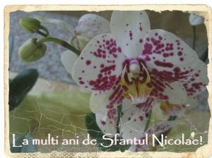 sfantulnicolaefelicitarevirtuala.jpg
