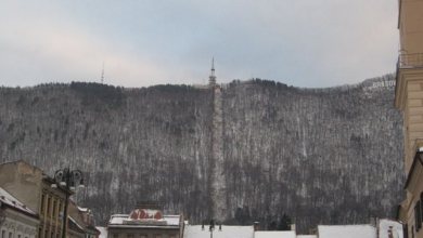 tampaiarna.jpg