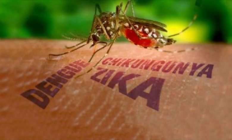 Alertă preventivă, din cauza unui virus transmis de ţânţari! 1 tantarvirus.jpg