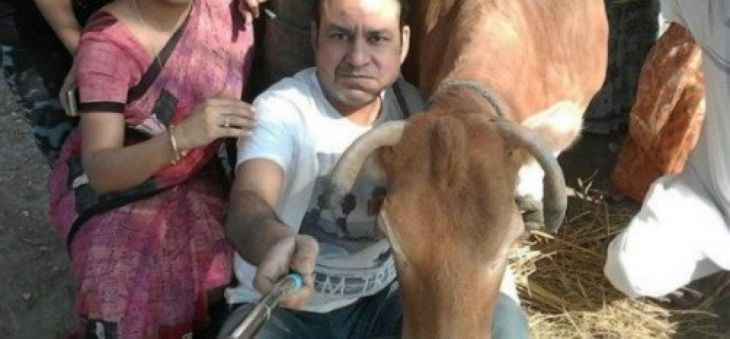 Un nou trend! Oamenii îşi fac selfi-uri cu vaci, şi le postează pe Facebook! 1 vaci2_201231.jpg