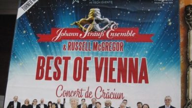 viena2.jpg