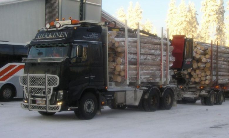 Braşovean sancţionat de poliţiştii sibieni. A fost lăsat şi fără „marfă” 1 camionbusteni1.jpg