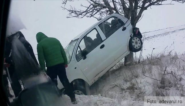 S-a urcat cu mașina... în copac (FOTO) 1 copacautoturism.jpg