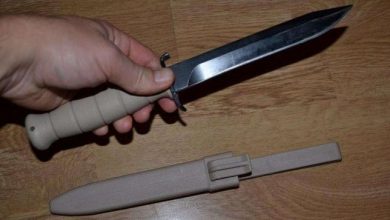 cutitbaioneata.jpg