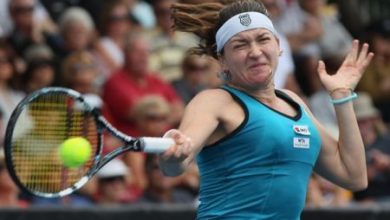 dulgheru_2.jpg