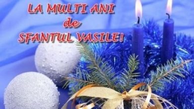 lamultianidesf-vasile.jpg
