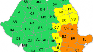 meteo17ianuarie.png