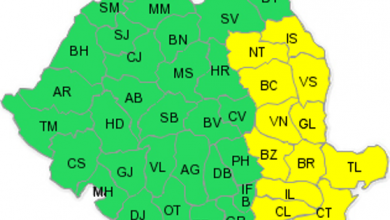meteo18ianuarie.png
