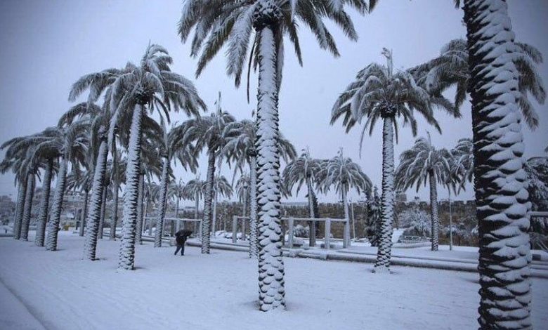SENZAȚIE. A nins în sudul Arabiei Saudite!!! 1 nins.jpg