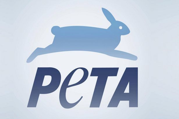 Recompensă mare pentru prinderea unui ucigaş de pisici 1 peta.jpg
