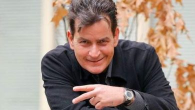 sheen_2.jpg