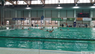 20160206-104610.jpg