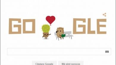 Google Doodle Valentines Day 2016 arici si cactus_204943.JP
