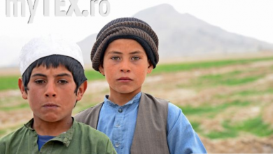 Corespondenţă specială. Mohamed spune că, astăzi, în Afganistan, este 14 septembrie 1394 3 baieti_203938.JPG