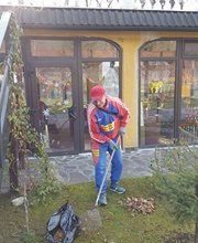 batrandisprut1.jpg