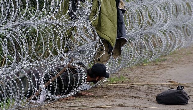 Ungaria insistă că vrea gard la frontiera cu România 1 gard_2.jpg