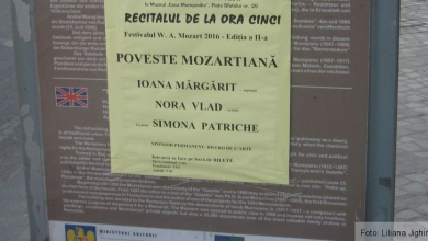 img-6642.jpg