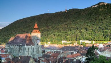 judetulbrasov.jpg