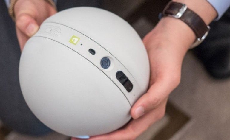 lg-rolling-bot-770x472.jpg