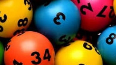 loto_6.jpg