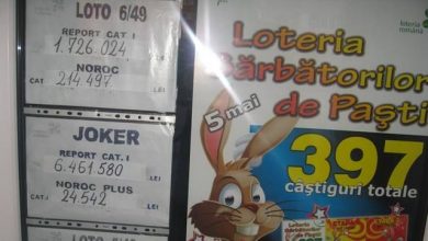 loto_7.jpg