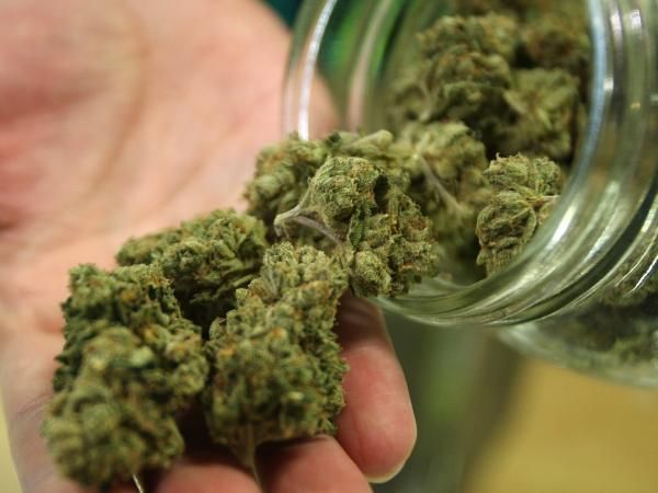 Proiect de lege în dezbatere, Polonia, pentru legalizarea marijuanei, în scopuri terapeutice 1 marijuana.jpg