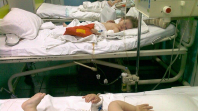 nefrologiepediatric.png