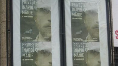 privesteinapoicumanie1.jpg