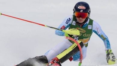 shiffrin.jpg
