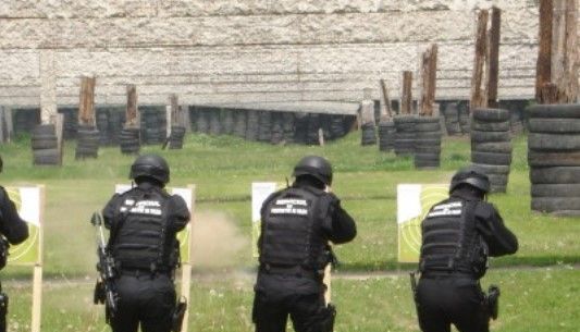12 români de la SPP îl vor păzi pe un înalt oficial ONU 1 spp.jpg