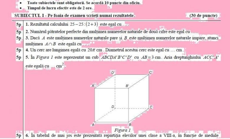 UPDATE BRAȘOV. Subiecte de nivel mediu, dar profesorii sunt pesimiști 1 subiectmatematica.jpg