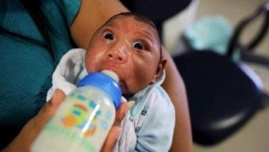 zika_3.jpg