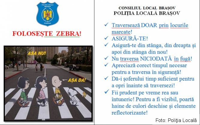 „Foloseşte zebra!” 1 ZEBRA_207250.jpg