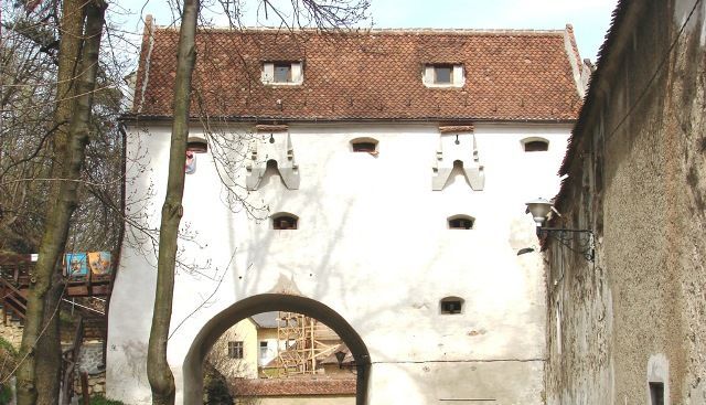 bastionul-graft.jpg