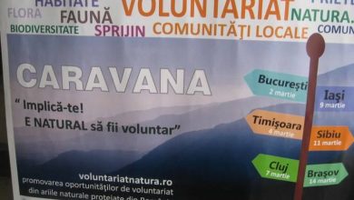 caravanavoluntariat1.jpg