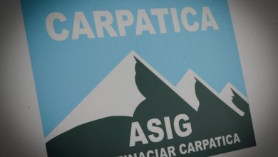 carpatica_2.jpg