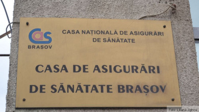 casmar3.jpg