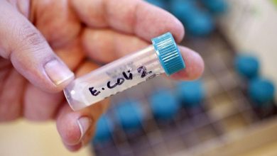 ecoli.jpg